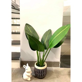cây chuối giả 80cm