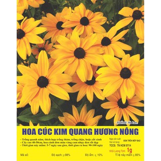 HẠT HOA CÚC KIM QUANG - GÓI 1 GRAM