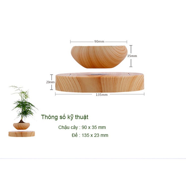 Cây bonsai bay lơ lửng vân gỗ Đen - Home & Garden