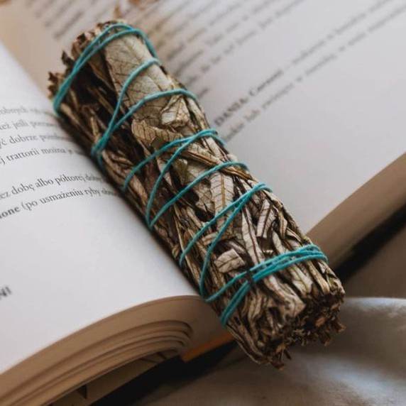YERBA SANTA  Bảo vệ, Chữa lành - THẢO MỘC XÔNG NHÀ