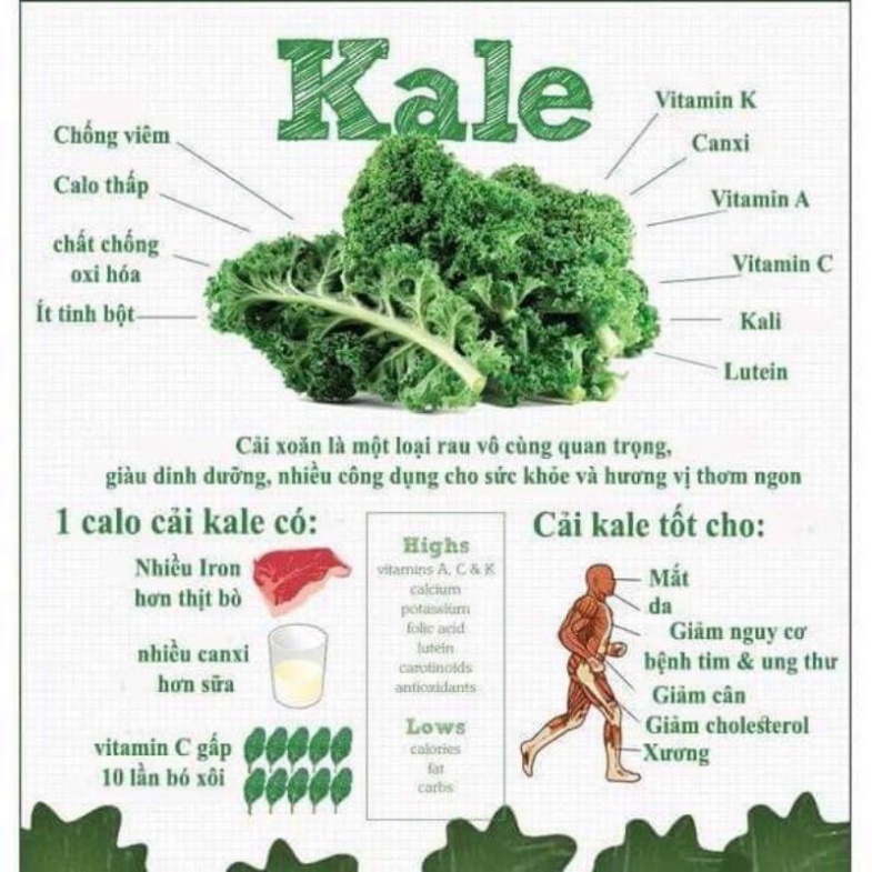 Mì cải Kale hữu cơ 100% organic ISITO (Mì cải xoăn) Healthy