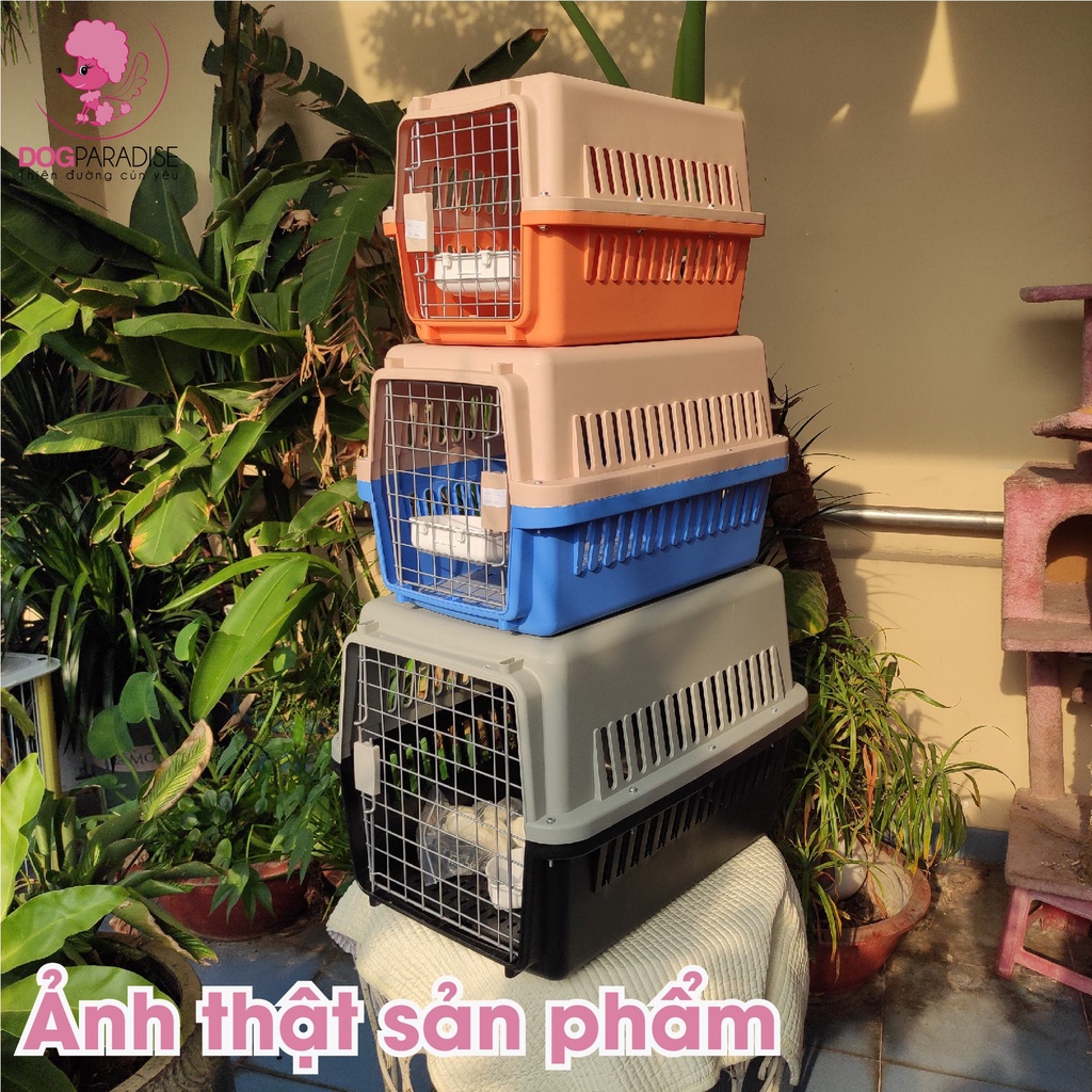Lồng vận chuyển hàng không dành cho thú cưng JCB - Dog Paradise (Màu ngẫu nhiên)
