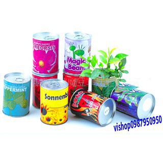 HẠT GIỐNG HẠT ĐẬU THẦN KỲ-- rẻ lắm