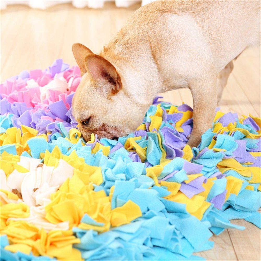 Tô Đựng Thức Ăn Cho Thú Cưng Chống Trượt