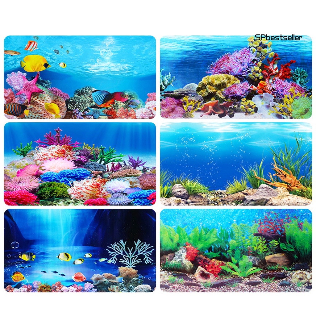 Miếng Dán Trang Trí Bể Cá Cảnh Độc Đáo