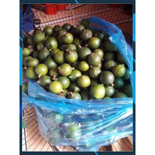 1kg Mắc ca tươi và khô.xuất xứ lai châu việt nam 1kg