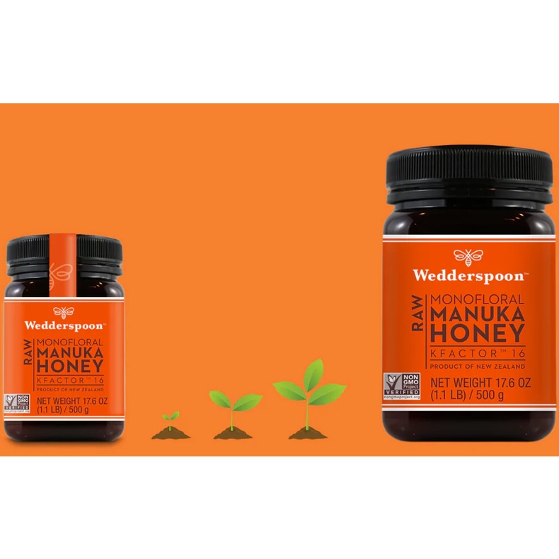 ✅ Mật Ong MANUKA Wedderspoon | K-Factor 16 ~ MGO550+