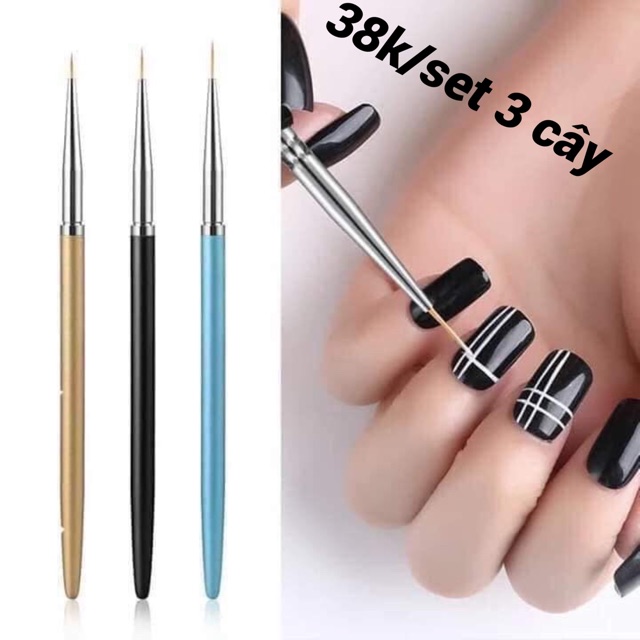 Set cọ 3 cây