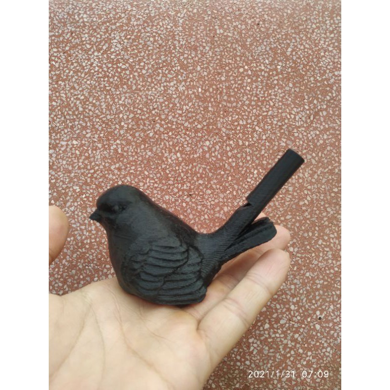 Sáo nước hình chim
