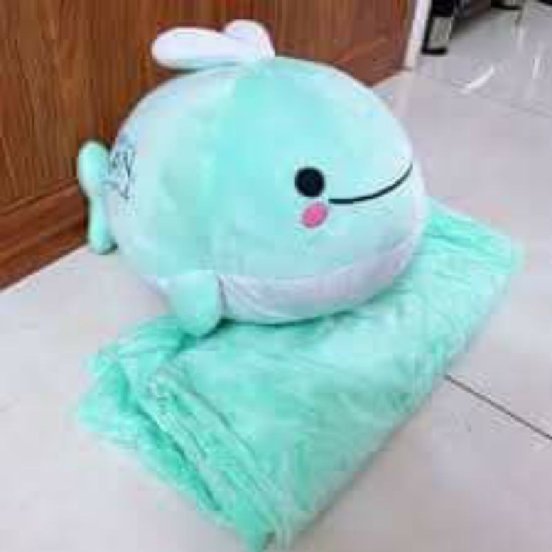 Cá heo bông gồm mền