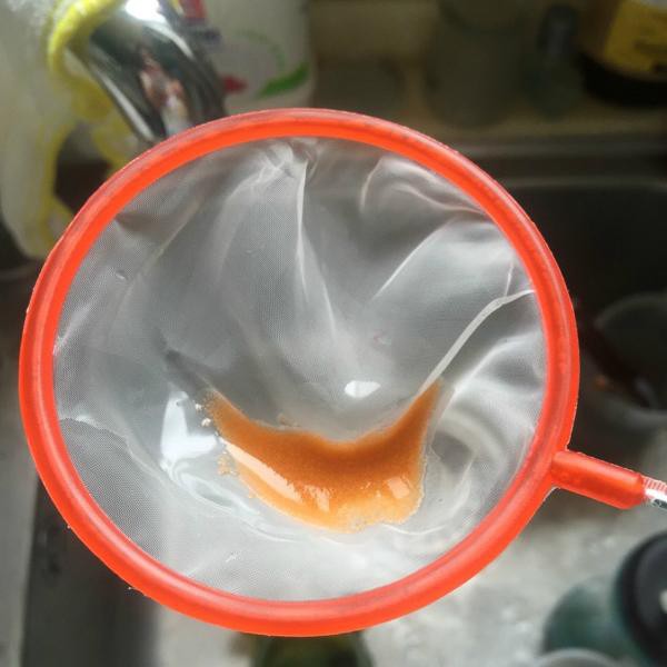 Vợt cá bột, nhuyễn thể, Artemia dành cho hồ cá