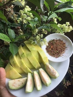 Chẩm chéo Điện biên
