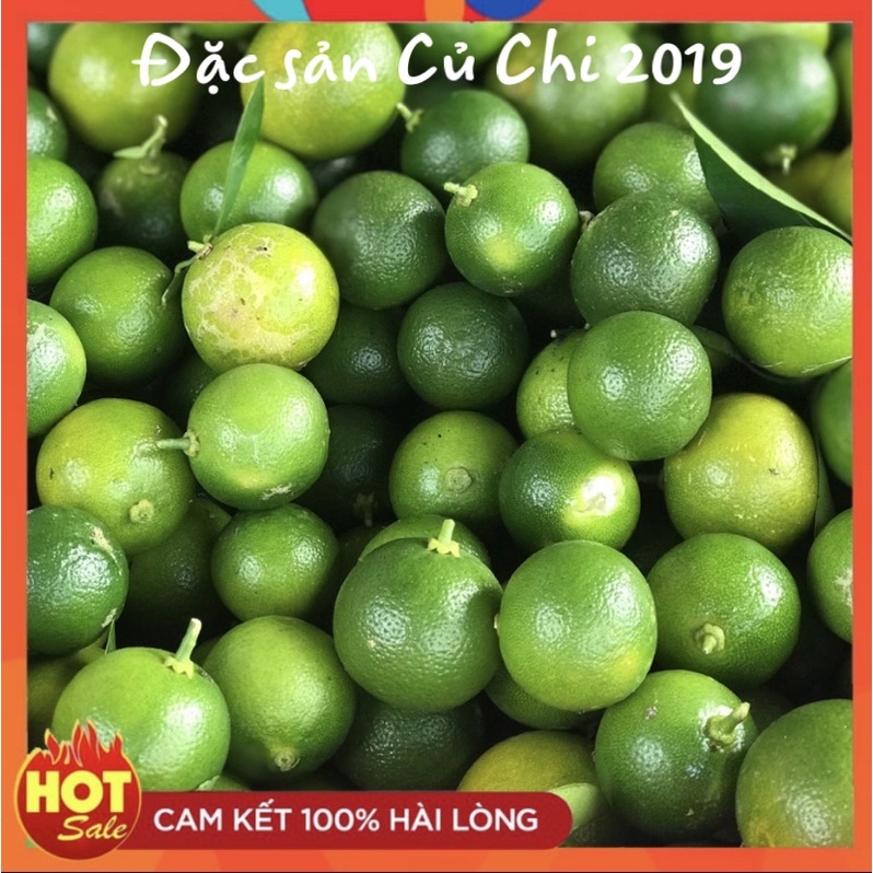 Quả tắc uống nước 1kg