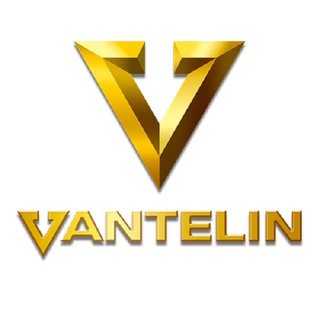 Đai Bảo Vệ Cột Sống Vantelin Back Support Size L