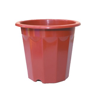 Chậu nhựa trồng cây hoa cảnh 23x20cm (E280) - Chậu nhựa E hàng công ty loại 1 hàng nhập khẩu và phân phối chính hãng.