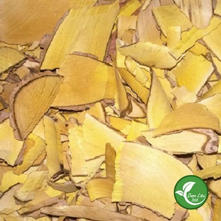 Cây Mật Gấu Bắc [1kg] Hàng loại 1