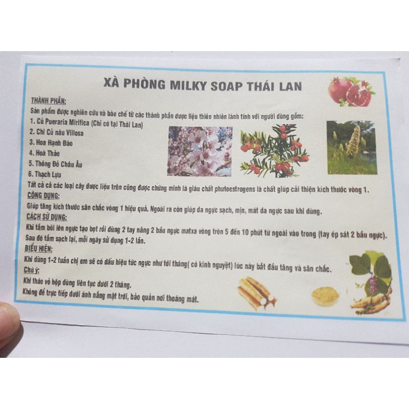 xà phòng nở ngực thái lan,xà bông tăng vòng 1 chính hãng milky soap