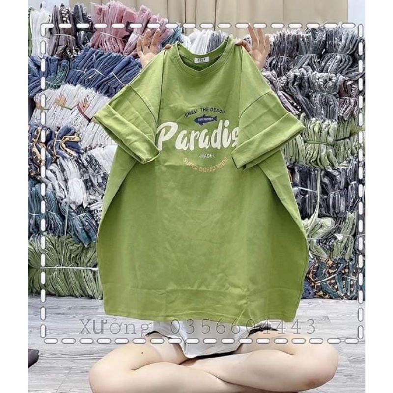 Áo Phông Tay Lỡ Thun 3158 Cotton Khô Form Rộng Unisex Nam Nữ In Hình Paradise