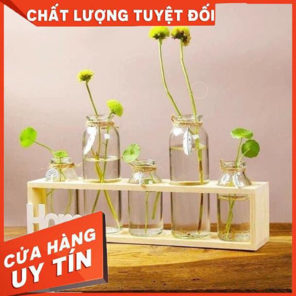 🍀Set 5 lọ thủy tinh cao thấp cắm hoa kèm kệ gỗ Home.