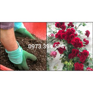 Đât Trồng Hoa Hồng Trộn Sẵn(1kg)_ Đất Trồng sen đá, xương rồng