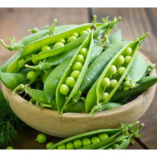 Hạt giống Đậu Hà Lan - Gói 10g