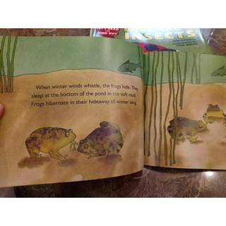 Let's read and find out science stage 1 (32q nhập khẩu)