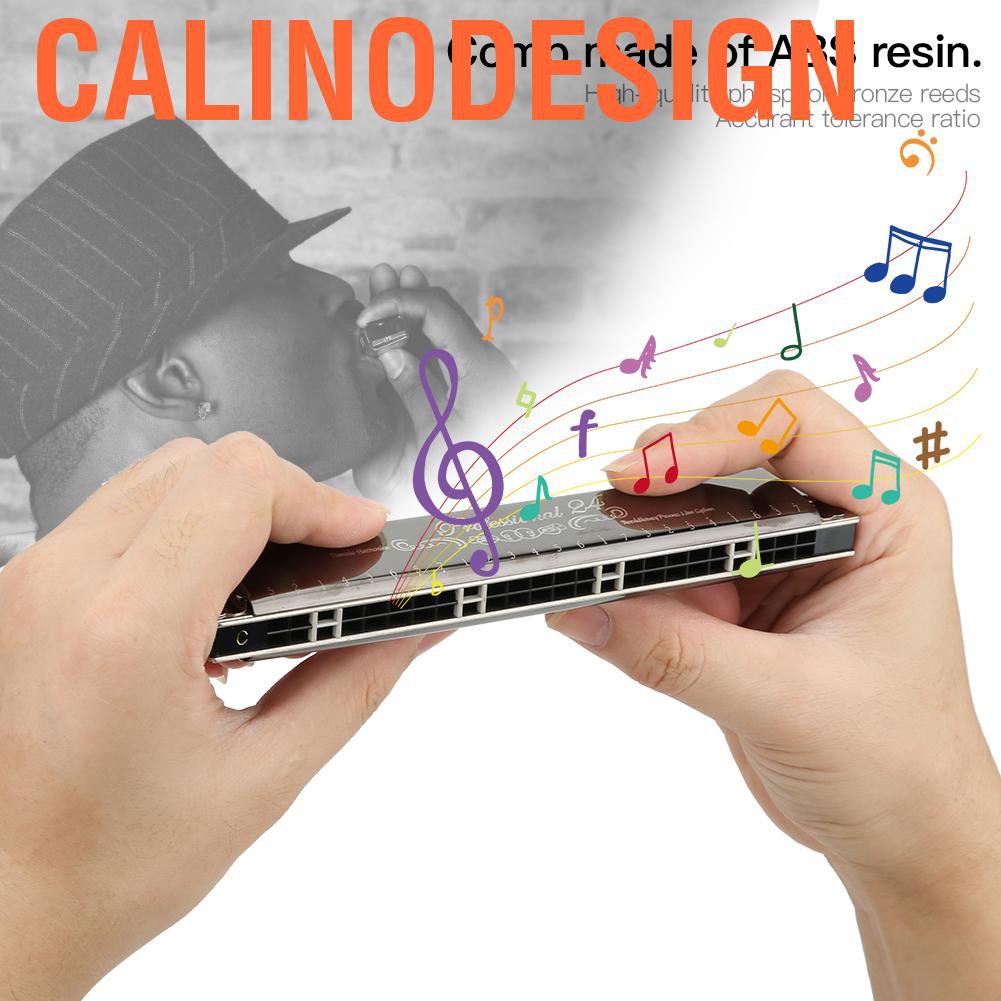 Kèn Harmonica Diatonic Chuyên Nghiệp