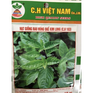 Hạt giống rau Húng Quế ☘️