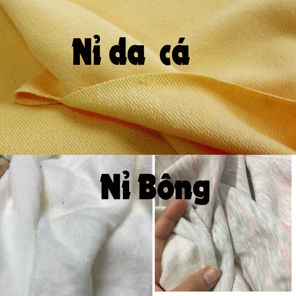 Áo nỉ Bông  Fom Rộng , thời trang nam , chất nỉ bông dày , giá tốt