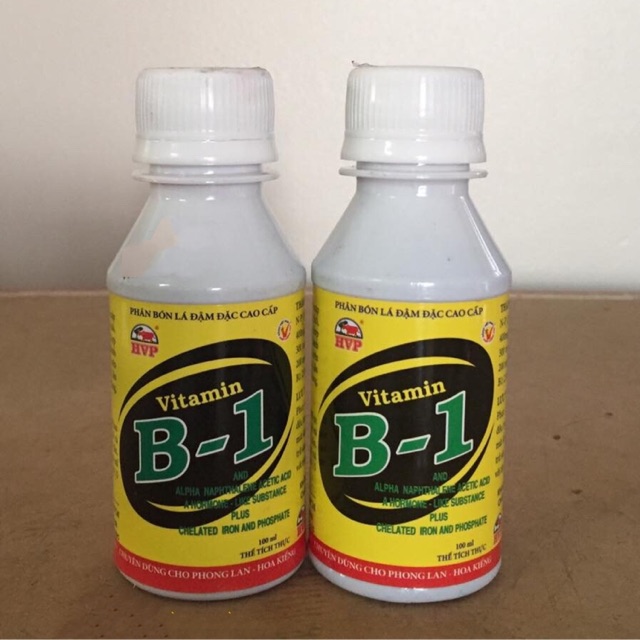 Vitamin B1 kích thích ra rễ