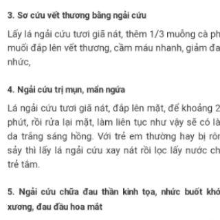Cây ngải cứu