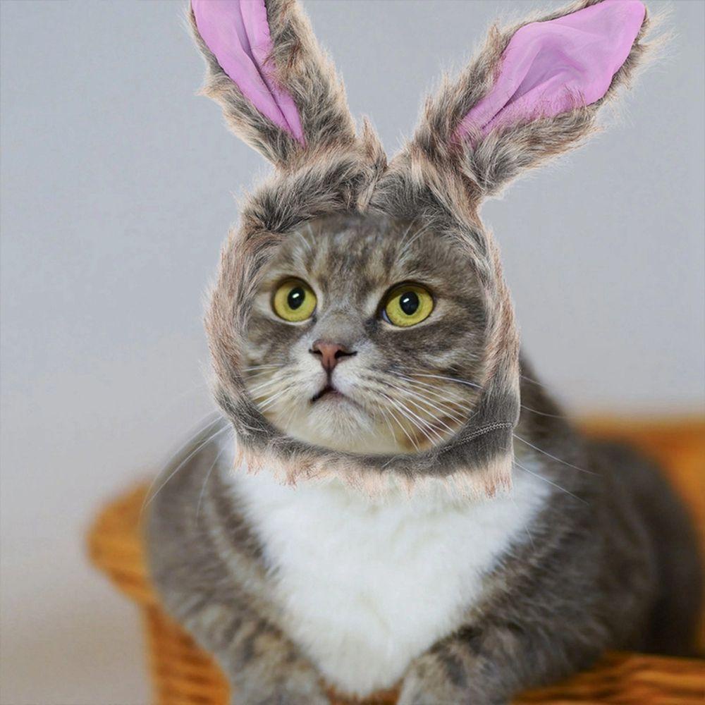 AUGUSTINA Mũ Đội Hóa Trang Chủ Đề Chó Mèo Dễ Thương Dùng Làm Phụ Kiện Chụp Ảnh Cho Thú Cưng