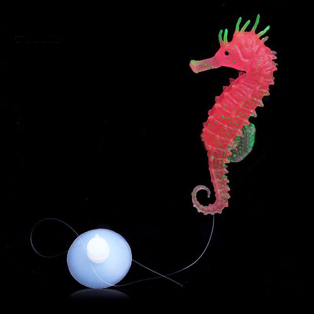 Cá ngựa giả phát sáng trang trí cho bể cá