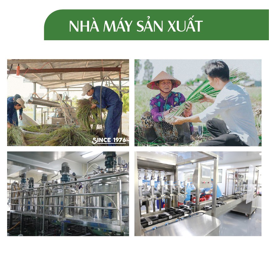 Xà bông tẩy mụn lưng thiên nhiên diếp cá, sả chanh giúp sạch mụn lưng, tẩy da chết, dành cho da dầu và mụn PK - 75gr