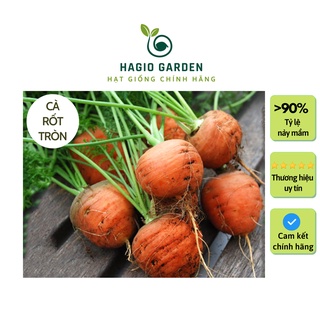 Hạt giống cà rốt tròn Rado 527 chính hãng Rạng Đông trồng quanh năm, hạt giống rau củ quả HAGIO