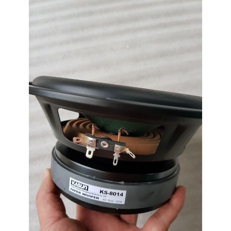 LOA BASS 20 KASUN NHẬP KHẨU HỒNG KÔNG - GIÁ 1 CHIẾC