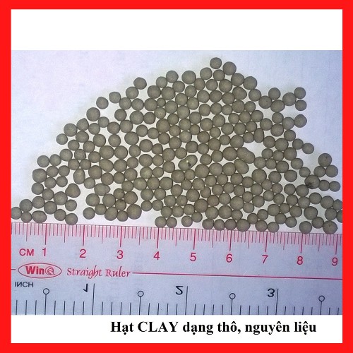 [SP Mới] Gói Hút Ẩm Clay loại 2/5/10/20/100g Clay (Đất sét hoạt tính) - Hạt chống ẩm mốc, khử mùi