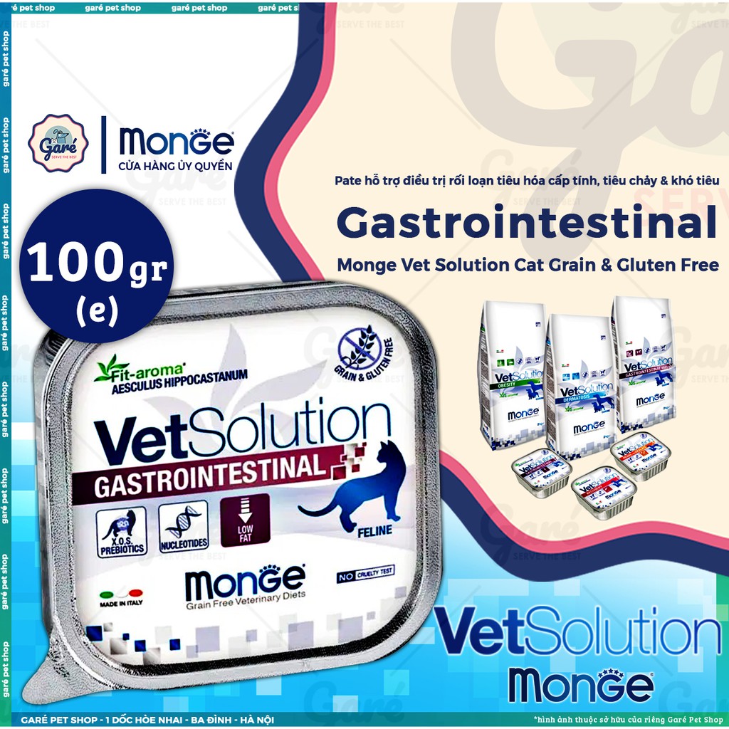 100g - Pate hỗ trợ phục hồi Monge Vet Solution dành cho Mèo - Monge Vet Solution for Cats