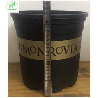 Chậu Monrovia VIỆT NAM 2GL ĐEN 23X22CM