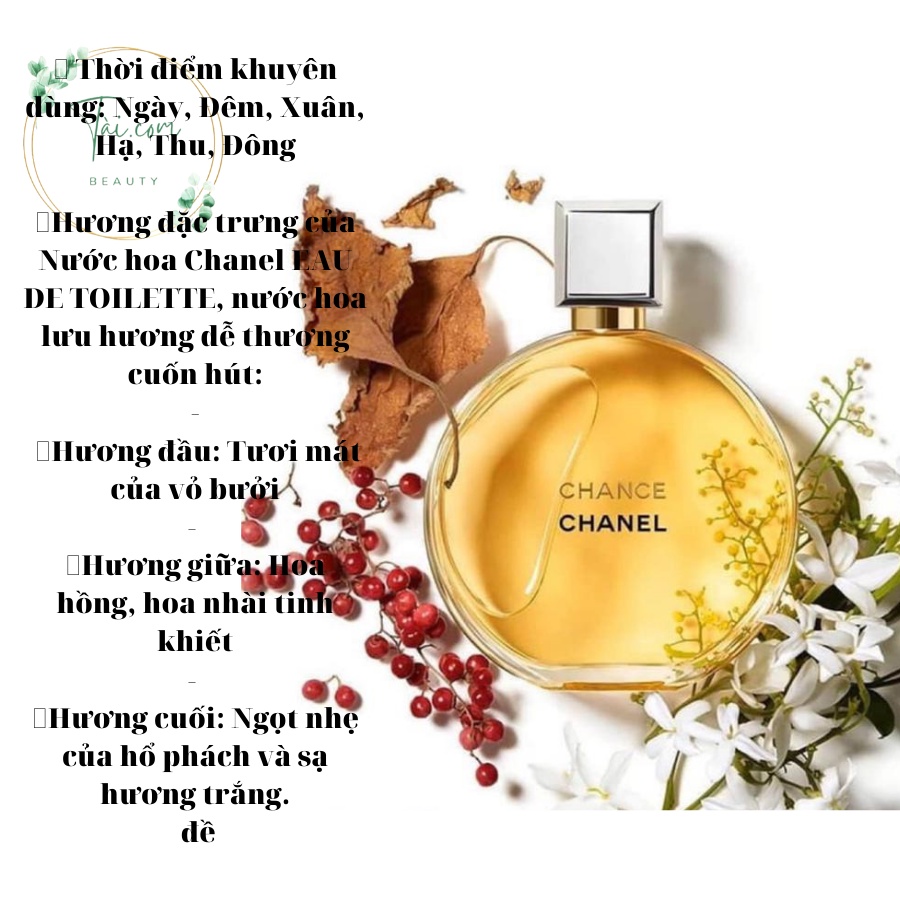 Nước Hoa Chance Eau De Toilette 100ml