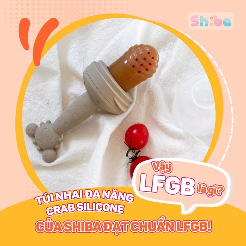 Túi nhai ăn dặm đa năng Silicon Carb 4M+