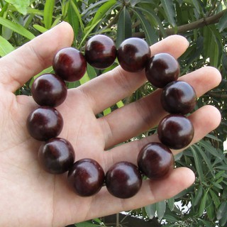 Vòng Tay Gỗ Trắc Đỏ