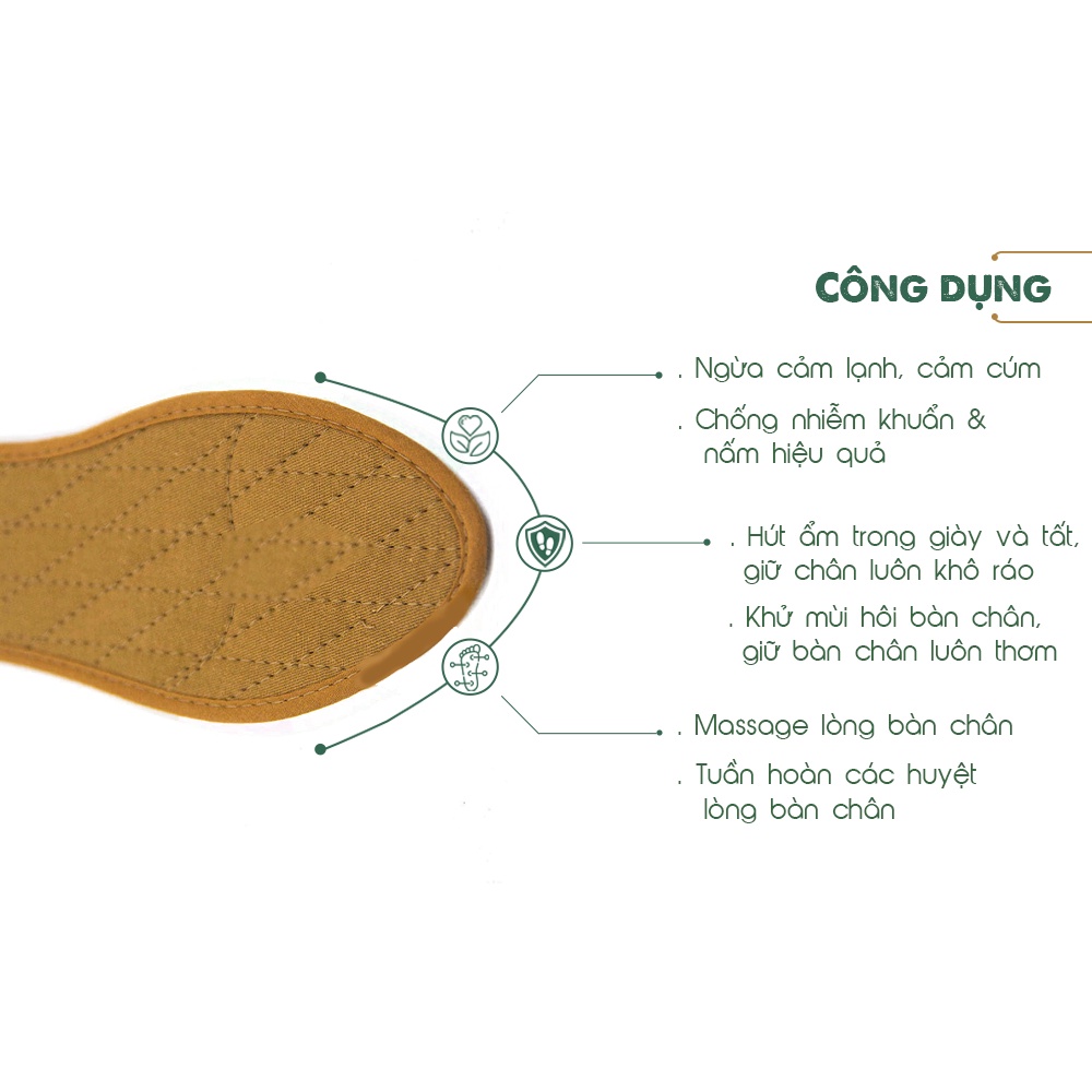 Lót giày Hương Quế CI-02