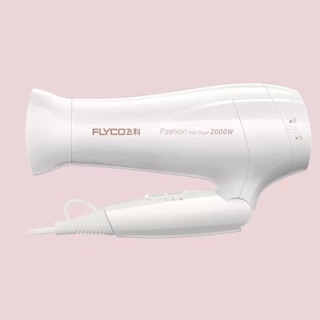 C076 Máy sấy tóc i-on FLYCO 2000W