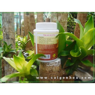 Thuốc Kích Thích Ra Rễ Cực Mạnh N3M