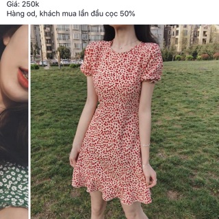Váy hoa nhí Pham Chi đỏ s