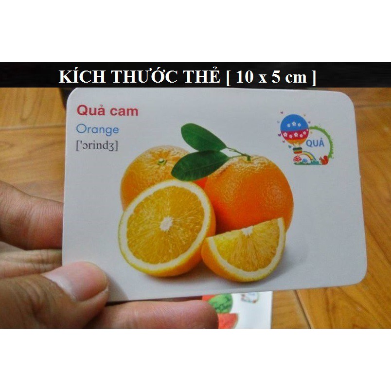 Bộ 416 thẻ học từ vựng Anh Văn flashcard - bộ thẻ học thông minh 16 chủ đề