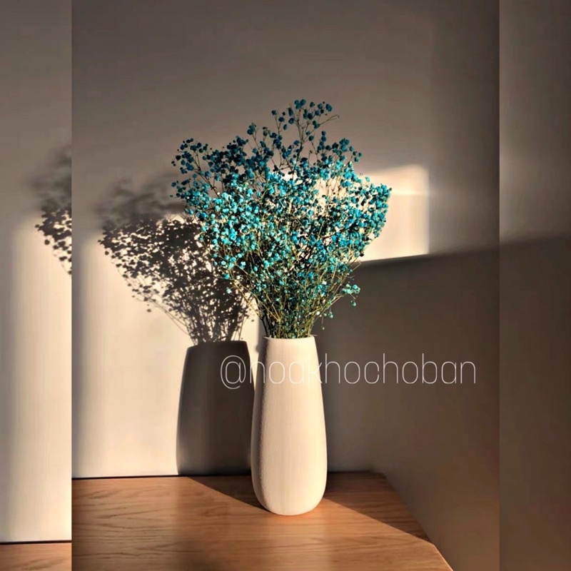 Hoa Baby Ướp Khô (Gypsophila) *Có rất nhiều màu mới về* cập nhật mỗi ngày!!! 💜FREESHIP🤍 Hoa khô trang trí