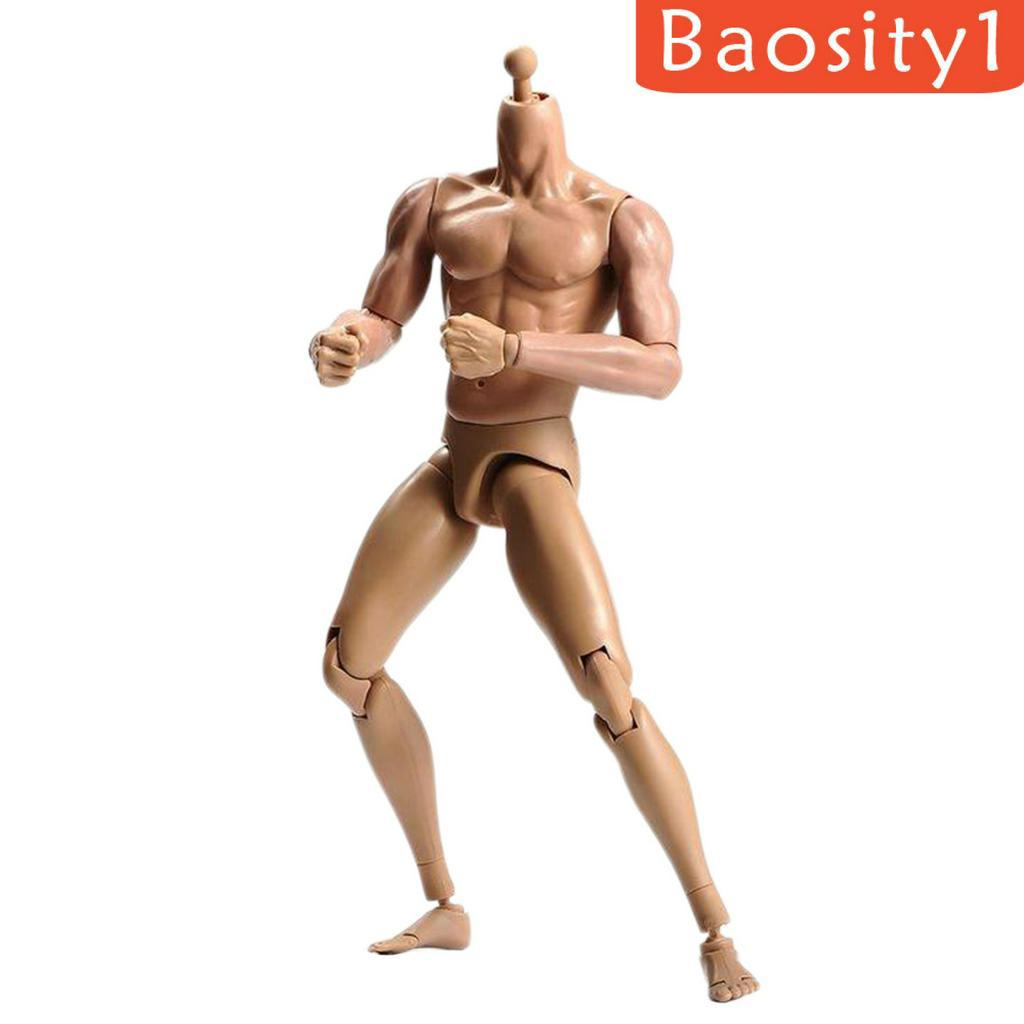 Mô hình cơ thể người nam tỉ lệ 1/ 6