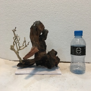 Layout, bố cục lũa thủy sinh bonsai ghép đá, bonsai lũa